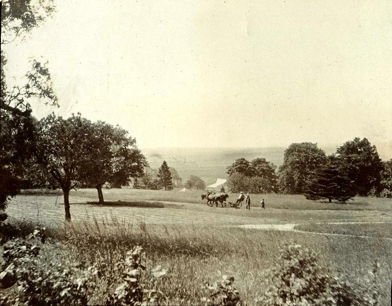 Making Hay - Mearbeck House - 1905.jpeg - Haymaking in the park in front of Mearbeck house. Photogarph is dated 1905.  (  Photographs PR01 to PR11 kindly supplied by Peter & Robin Ranken ) 